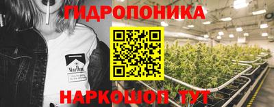 мдпв Мариинск