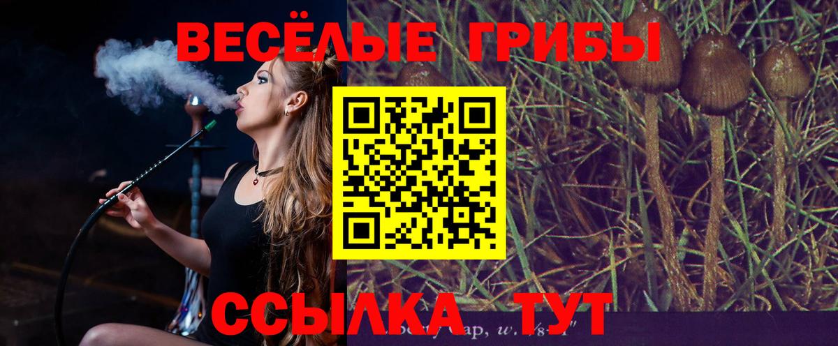 Галлюциногенные грибы мухоморы  Вход с VPN  цены наркотик  Вышний Волочёк 